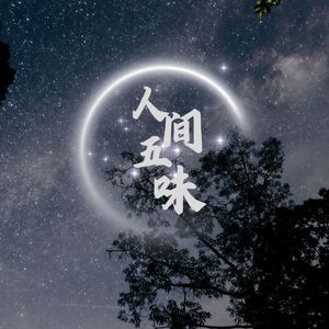 人间五味（伴奏）