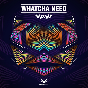 Whatcha Need (Extended Mix)