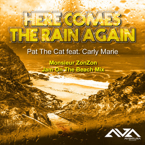 Here Comes The Rain Again (Monsieur ZonZon Jam on the Beach Radio Edit)