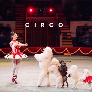 circo
