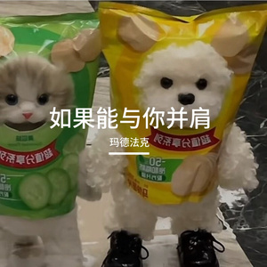 如果能与你并肩