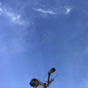 《观我自言听》