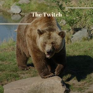 The Twitch
