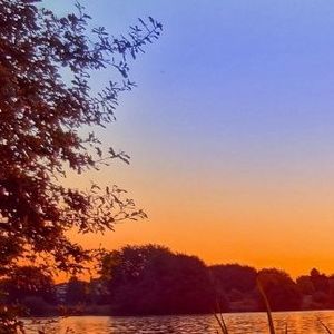 多想在平庸的生活拥抱你