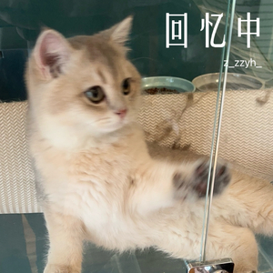 进行中