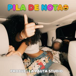 PILA DE NOTA DETROIT