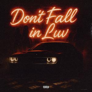 Dont Fall In luv