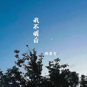 我不明白