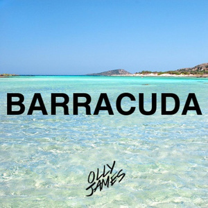 Barracuda (Original Mix)