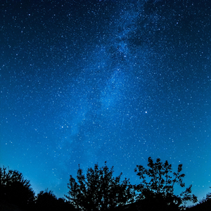 Compostela (Field of Stars)
