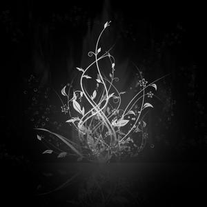 张紫豪-可不可以 纯音（一沫 remix）