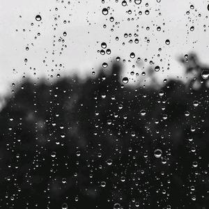 cellophane