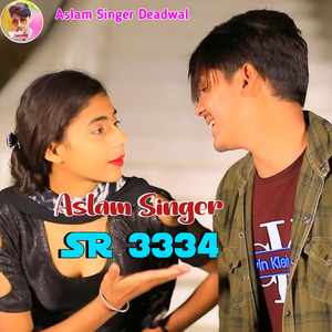 Aslam Singer SR 3334