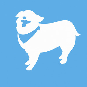 子犬の冒険
