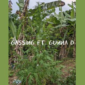 Gassing (feat. Gunna D)