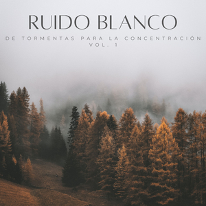 Café De La Selva Tropical