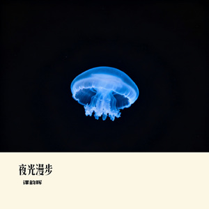 霓虹尽头