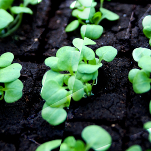 Passing The Blue (Original Mix)