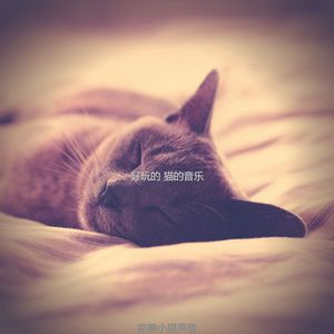 微妙的睡猫心情