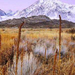 前奏一响就emo了