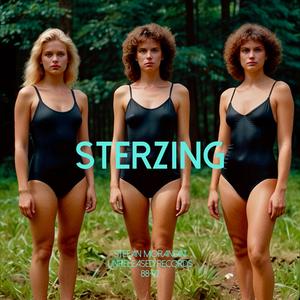 Sterzing