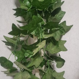 星空下许过的约定