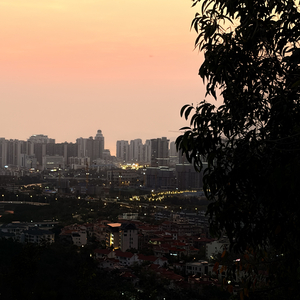 爱你但说不出口（你不知道的事）