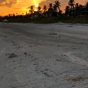 With a Heavenly Glaze