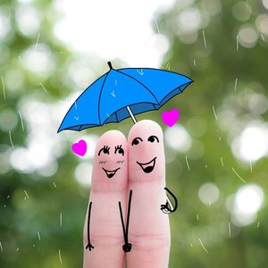 LoFi Birdwatching with Raindrops