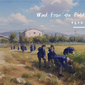 田野的风(Wind from the field)