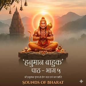 Hanuman Bahuk हनुमान बाहुक पाठ भाग 5