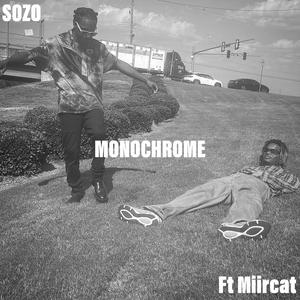 Monochrome (feat. Miircat)