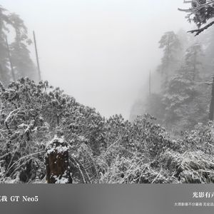 长大就变了
