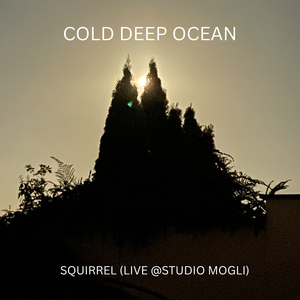 Squirrel (Live @Studio Mogli)