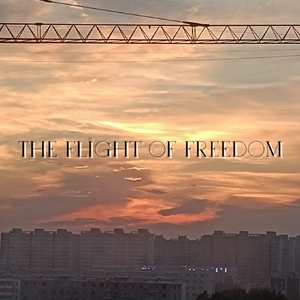 翱翔之旅The flight of freedom