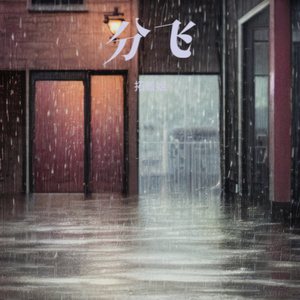 分飞 (R&B女版)