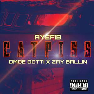 Catpiss (feat. D'moe Gotti & Zay Ballin')
