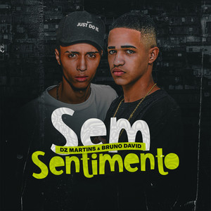 Sem Sentimento