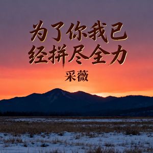 为了你我已经拼尽全力