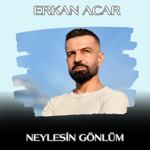 Neylesin Gönlüm
