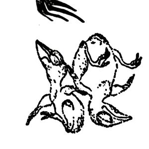 Coroner