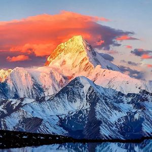 《多层次森林白噪音助眠之境》