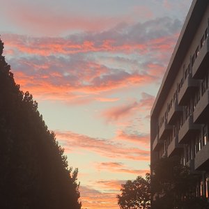 1_标准录音 9_1