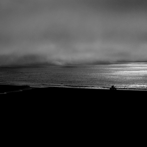 Wash Ashore in Pieces