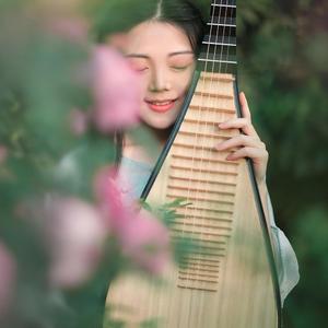 【琵琶】赤伶-乐落清音