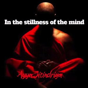 There Is No Path to Happiness