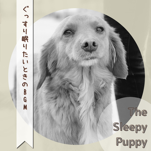 A Dream for the Night