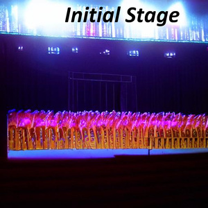 Initial Stage