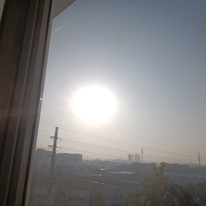 白色短袖