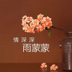 情深深雨蒙蒙
